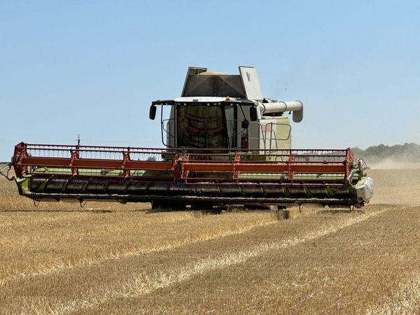 На Білоцерківщину липень прийшов з жнивами